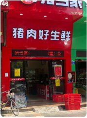 豬當家